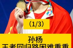 开云下载-网球明星孙杨将伤退的简单介绍