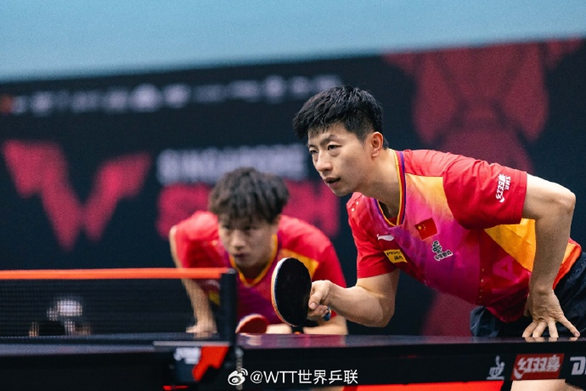 关于比利时乒乓球队完胜日本乒乓球队，马龙惊艳世界的信息