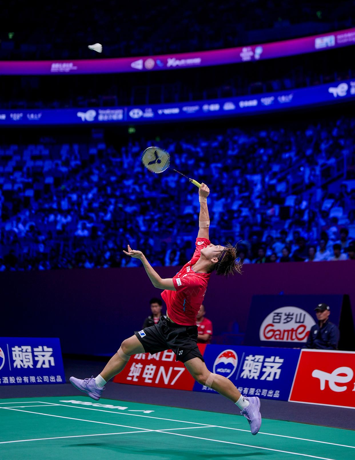 法国羽毛球队绝杀马来西亚羽毛球队，戴资颖统治全场的简单介绍