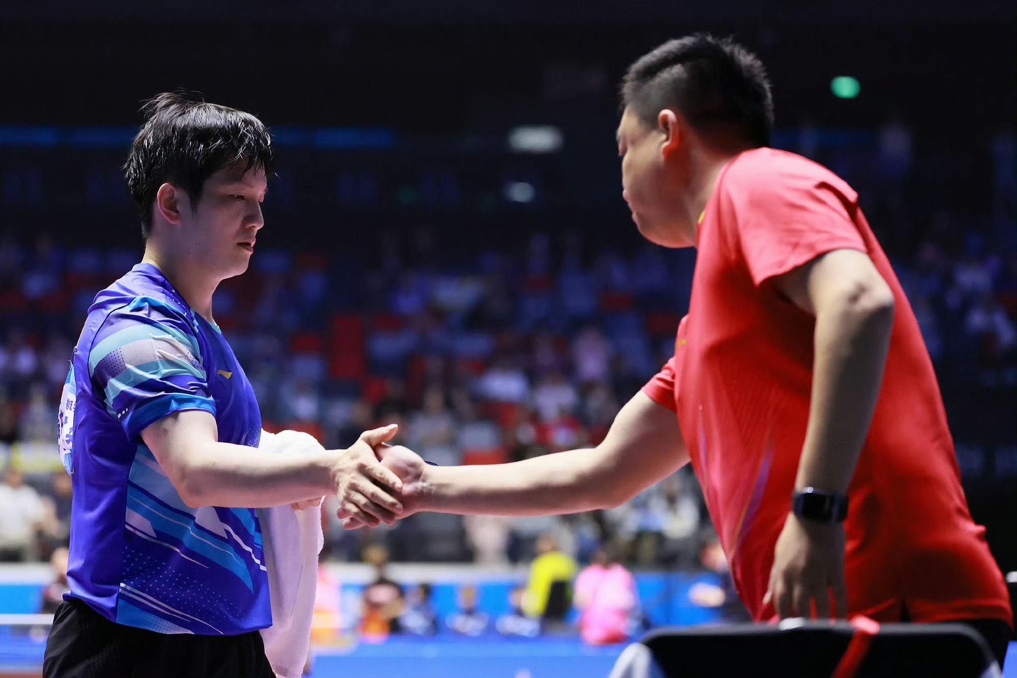 英格兰队横扫韩国队,樊振东关键制胜 英格兰队横扫韩国队,樊振东关键制胜